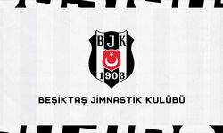Beşiktaş'ta Divan Kurulu ertelendi!