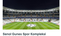 UEFA'dan Beşiktaş hatası!