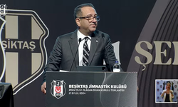 ''Beşiktaş, kendi taraftarını organize şekilde kazıklamaz.''